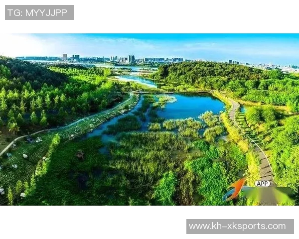 深圳排球队边路渗透创新探索与发展新策略的深度分析与展望